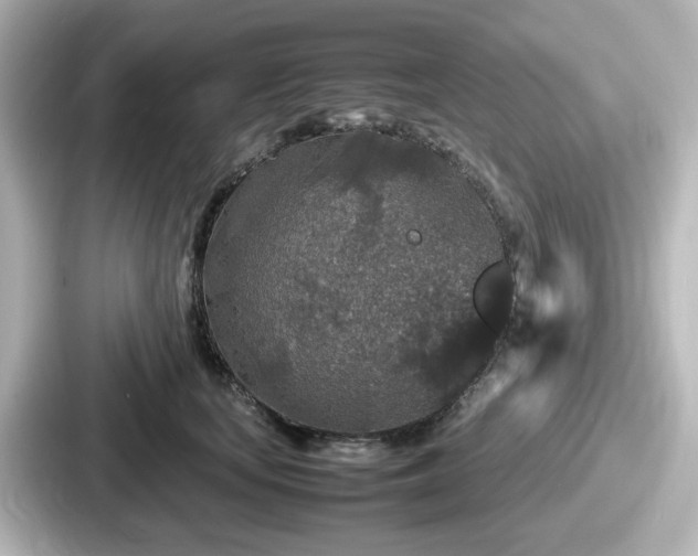 X0000087640659200705101048