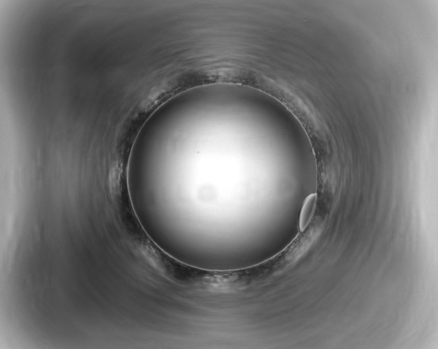 X0000087640660200705101048