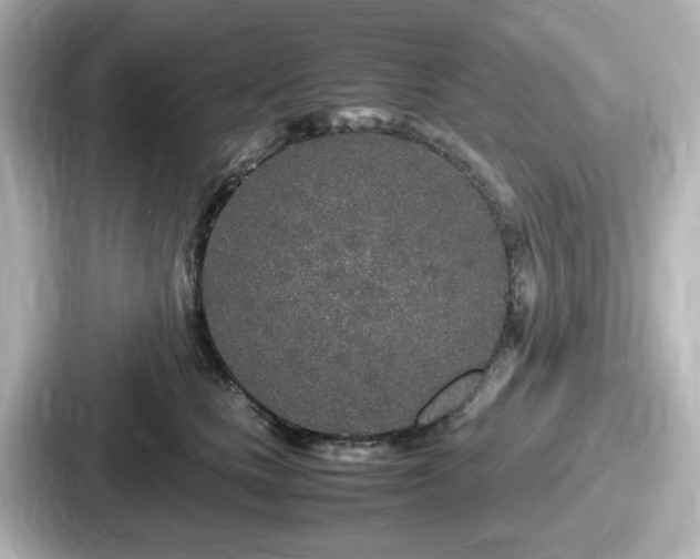 X0000087640661200705101048