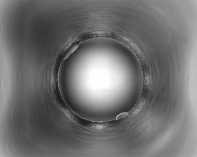 X0000087640662200705101048