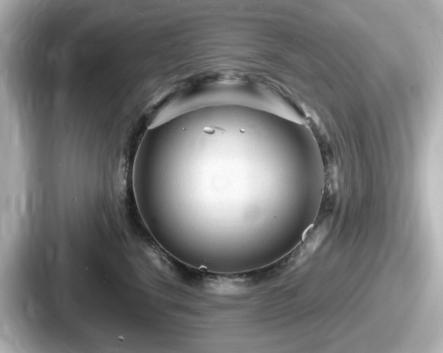 X0000087640664200705101048