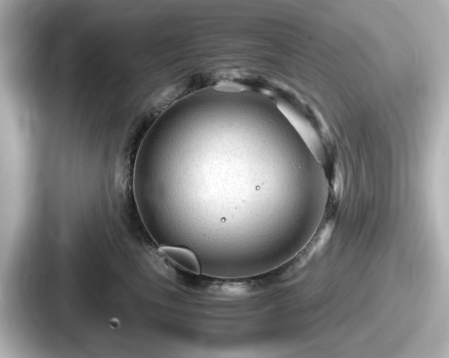 X0000087640665200705101049