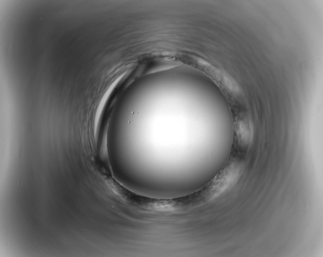 X0000087640668200705101049