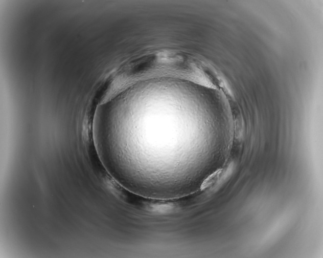 X0000087640669200705101049