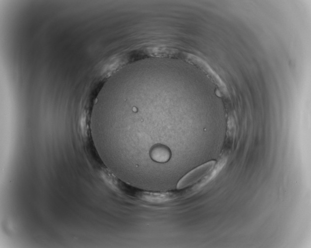 X0000087640671200705101049