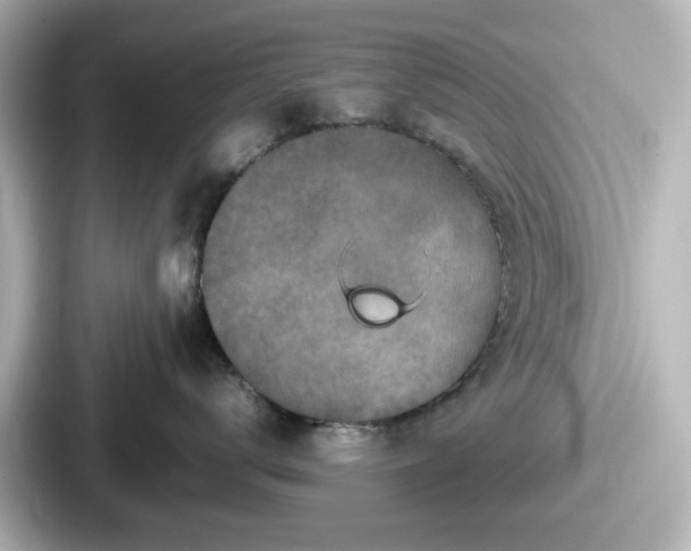 X0000087640672200705101049