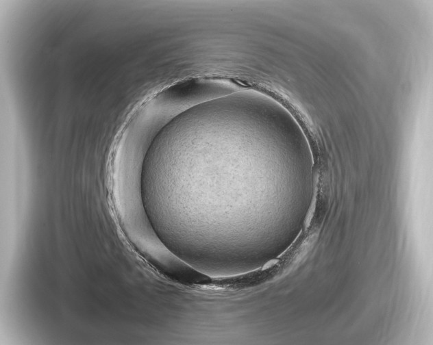 X0000087640673200705101048