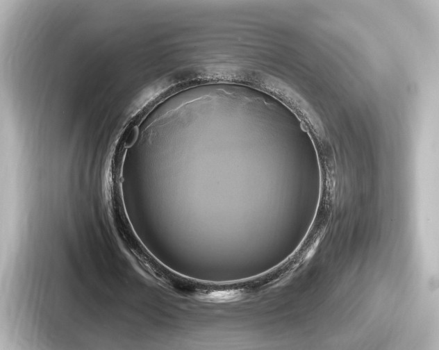 X0000087640674200705101048