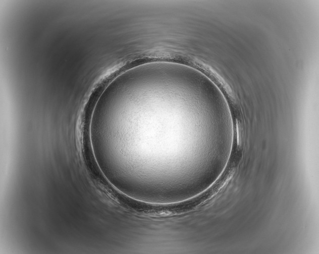 X0000087640675200705101048