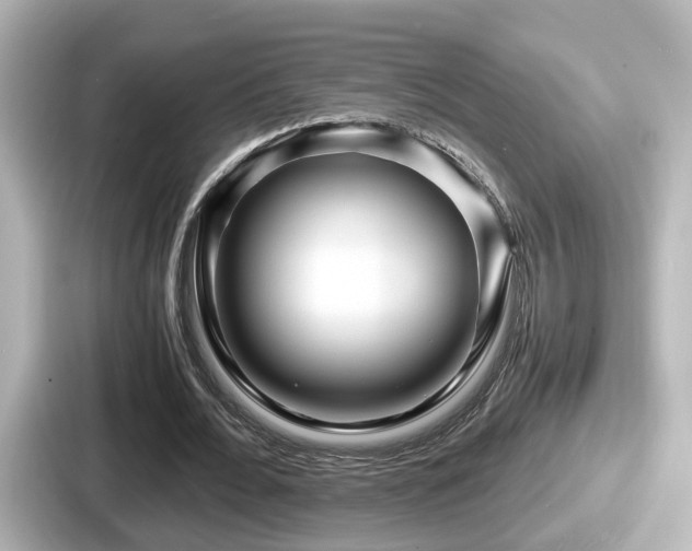 X0000087640676200705101048