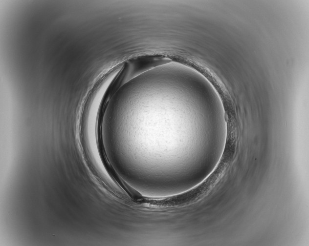 X0000087640677200705101048