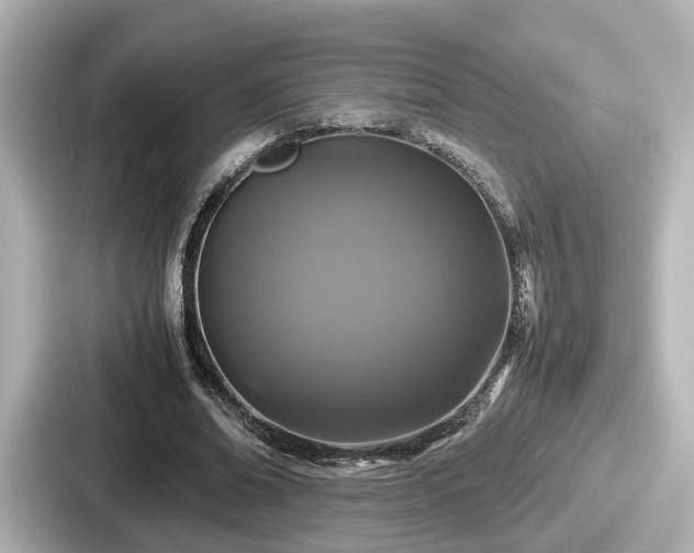 X0000087640678200705101048