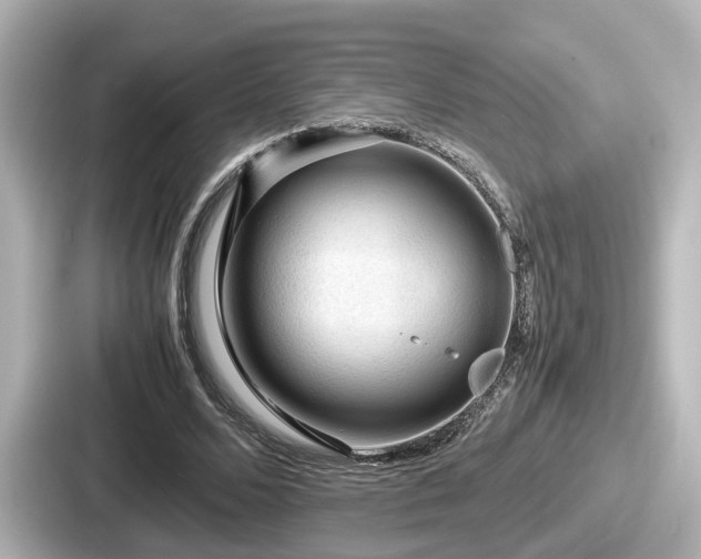 X0000087640680200705101048