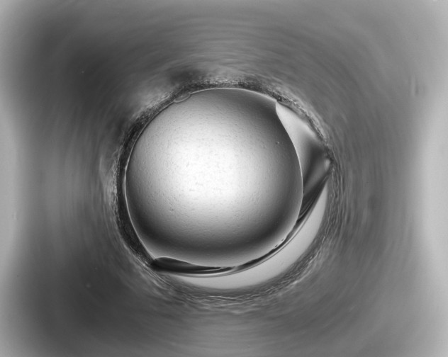 X0000087640681200705101048