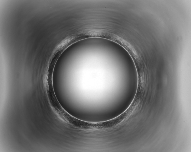 X0000087640682200705101048