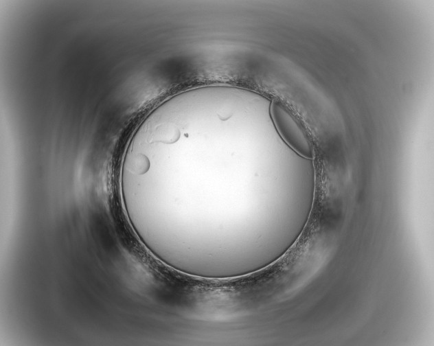 X0000087640683200705101048