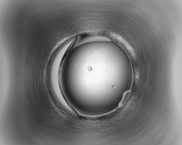 X0000087640684200705101048