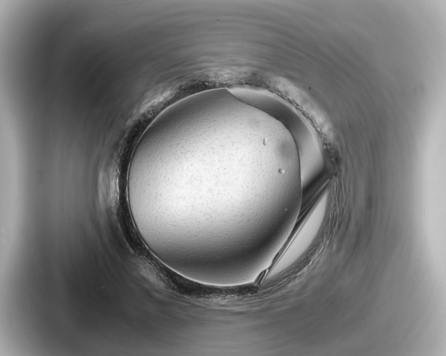 X0000087640685200705101048