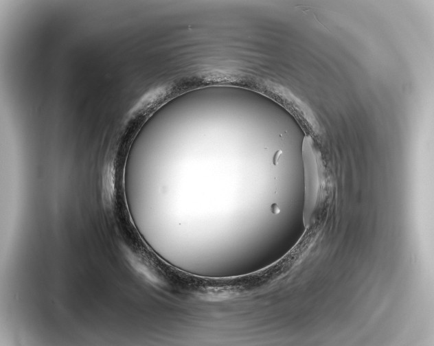 X0000087640686200705101048