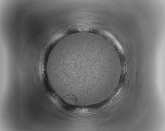 X0000087640687200705101048