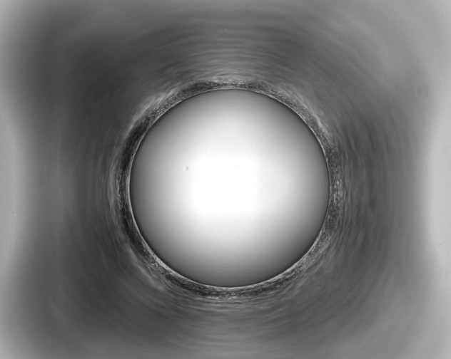 X0000087640688200705101048