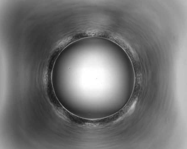 X0000087640690200705101048