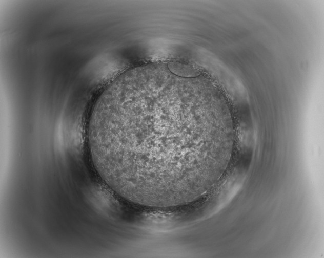 X0000087640691200705101048