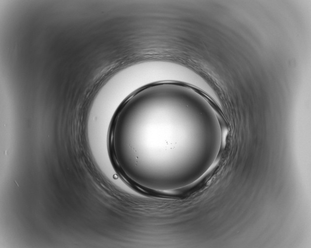 X0000087640692200705101048