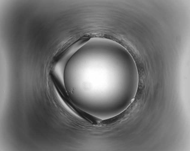 X0000087640693200705101048