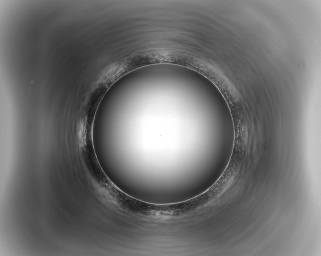 X0000087640694200705101048