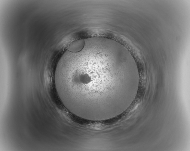 X0000087640695200705101048