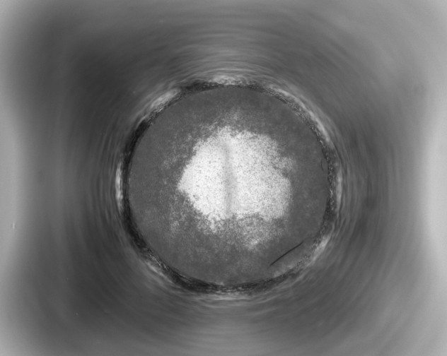 X0000087640696200705101048