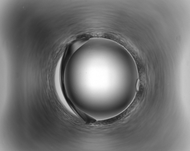 X0000087640697200705101048