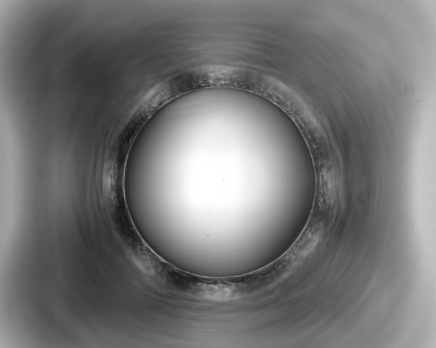 X0000087640698200705101048