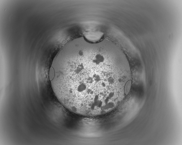 X0000087640699200705101048