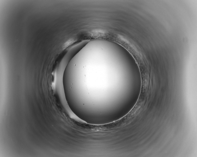 X0000087640700200705101048