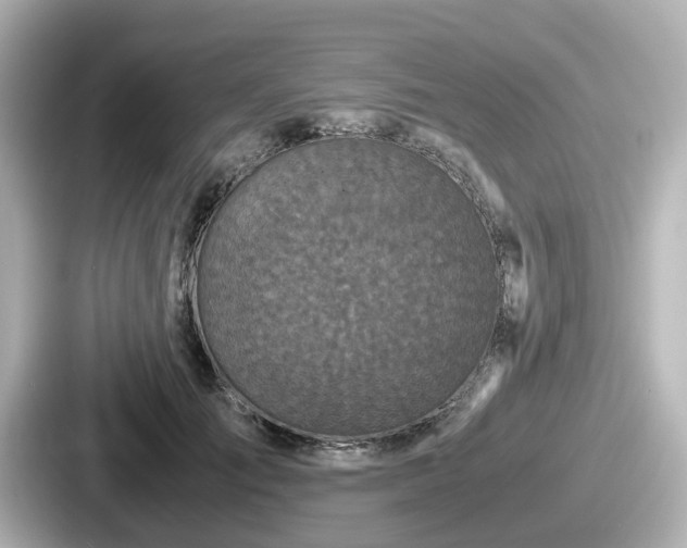 X0000087640701200705101048