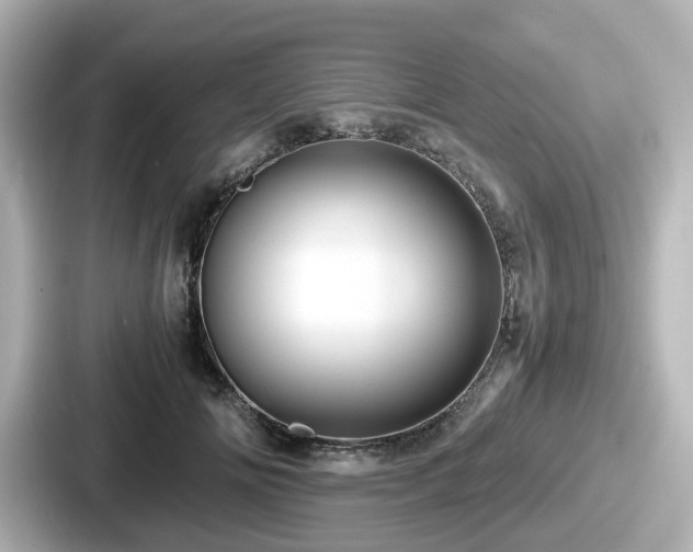 X0000087640702200705101048