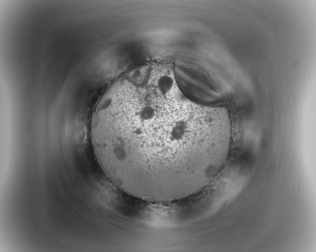 X0000087640703200705101048