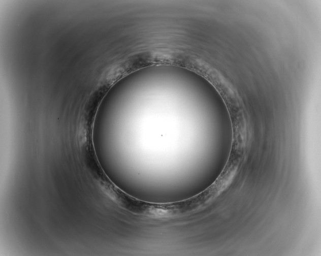 X0000087640706200705101048