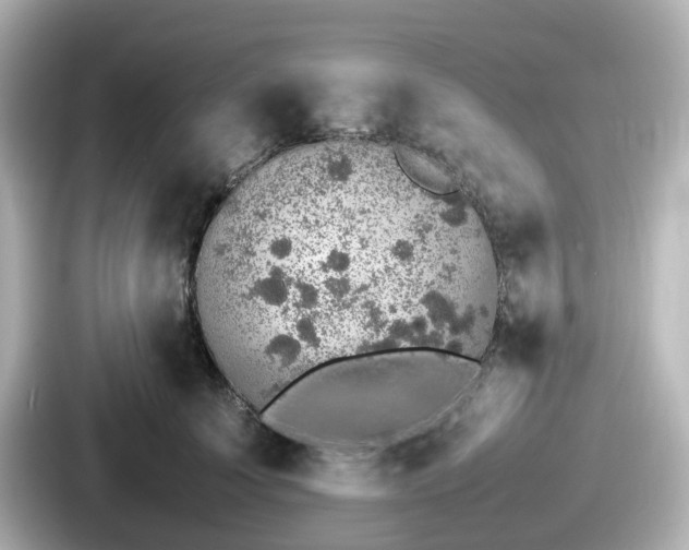 X0000087640707200705101048