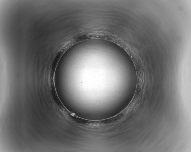 X0000087640708200705101048