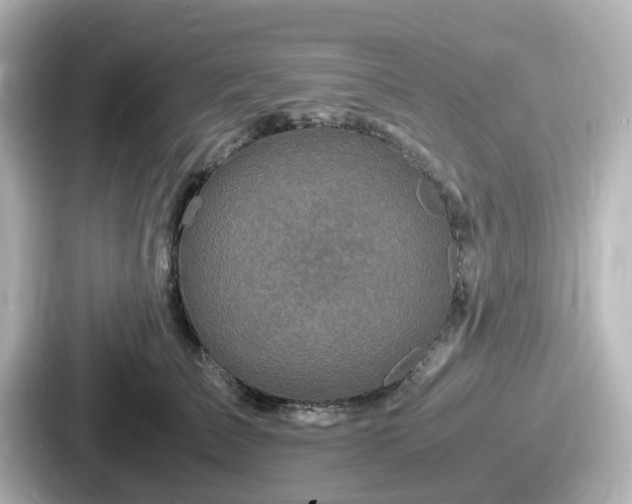 X0000087640709200705101048