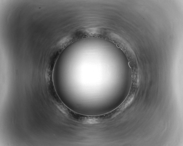 X0000087640710200705101047