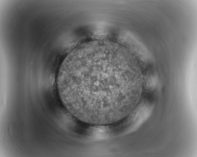 X0000087640711200705101047