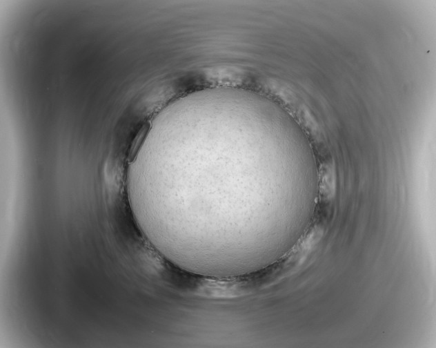 X0000087640713200705101047