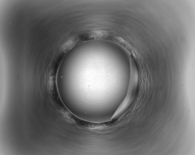 X0000087640716200705101047