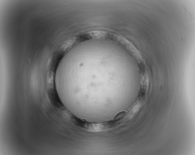 X0000087640717200705101047