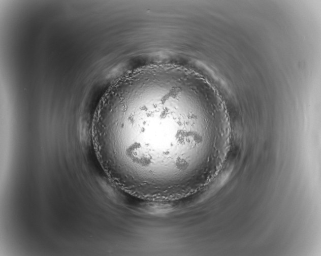 X0000087640719200705101047