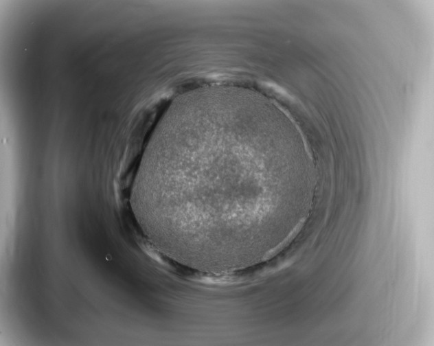 X0000087640720200705101047